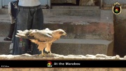 2014_at_the_marabu 009