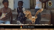 2014_at_the_marabu 010