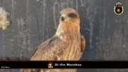 2014_at_the_marabu 021