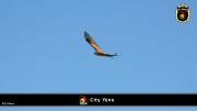 City Yene 021
