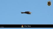City Yene 022