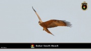 Dakar Südstrand 017