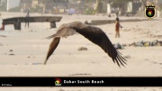 Dakar Südstrand 038