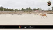 Lac Rose 015