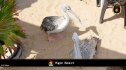 Ngor Beach 017