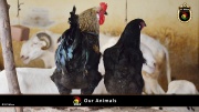 FC Wien Tierfarm 053