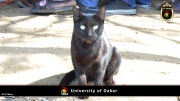 Universtität von Dakar 052