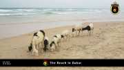 Strand in Dakar 014