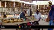 Goree Island 028