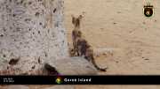 Goree Island 034