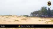 paradies 009
