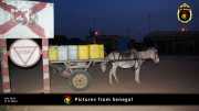 Verschiedene Bilder aus Senegal 001