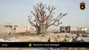 Verschiedene Bilder aus Senegal 079
